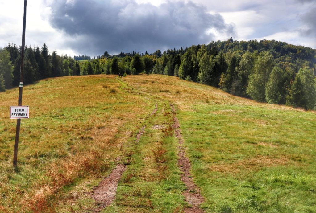 Beskid Śląski - obszerna polana, szlak zielony biegnący do Baru Telesforówka na Trzech Kopcach Wiślańskich, biała tabliczka z napisem TEREN PRYWATNY