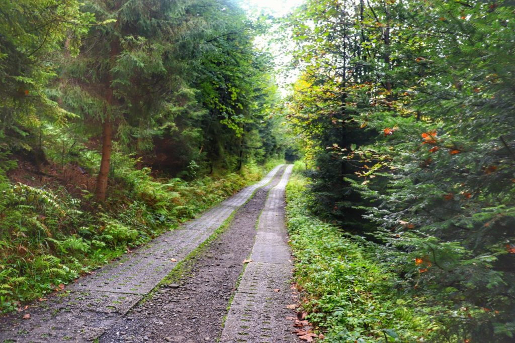 Betonowe płyty na leśnej drodze w Brennej Leśnicy - zielony szlak na Trzy Kopce Wiślańskie