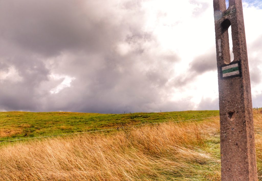 Betonowy słup z oznaczeniem zielonego szlaku - Brenna Leśnica, polana, zachmurzone niebo