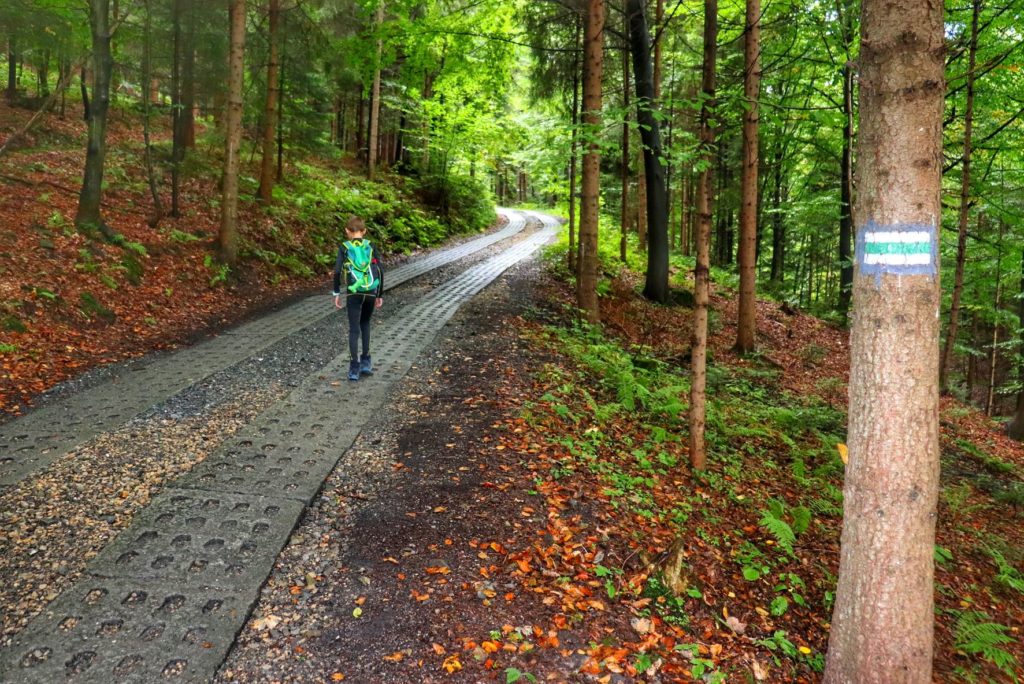 Dziecko na szerokiej leśnej drodze wyłożonej betonowymi płytami na zielonym szlaku - Brenna Leśnica