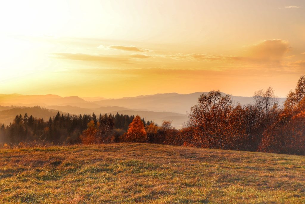 Gruň w Beskidach, polana, jesień