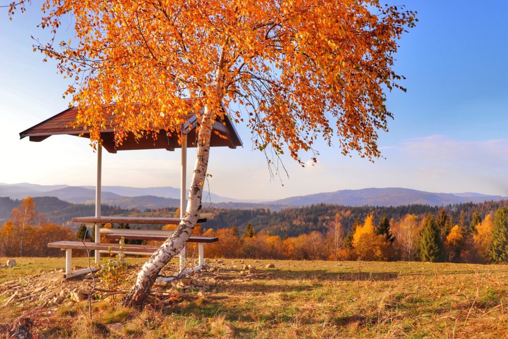 Krajobraz górski, drewniany stół, Szczyt Gruň na Słowacji, jesień