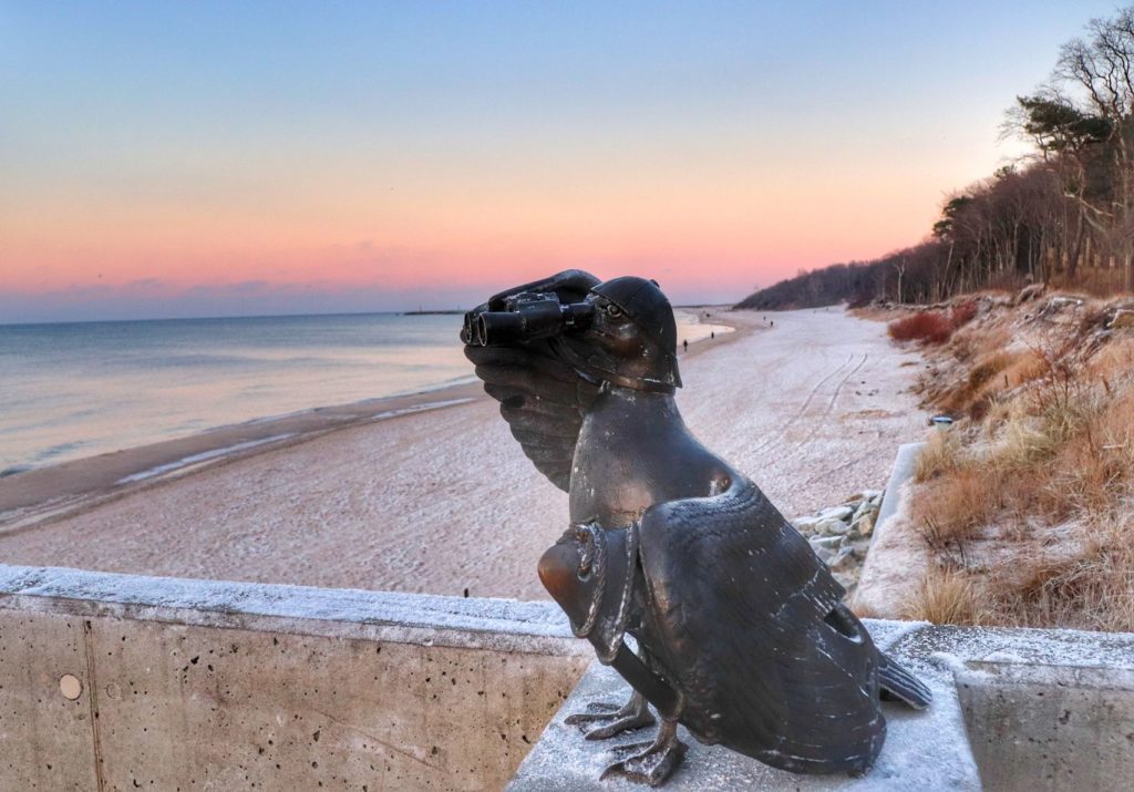Marian Ratownik o zachodzie słońca - rzeźba mewy w Kołobrzegu