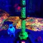 Myszki w kosmosie - Miasto Myszy w Kołobrzegu - Kosmos w świetle UV