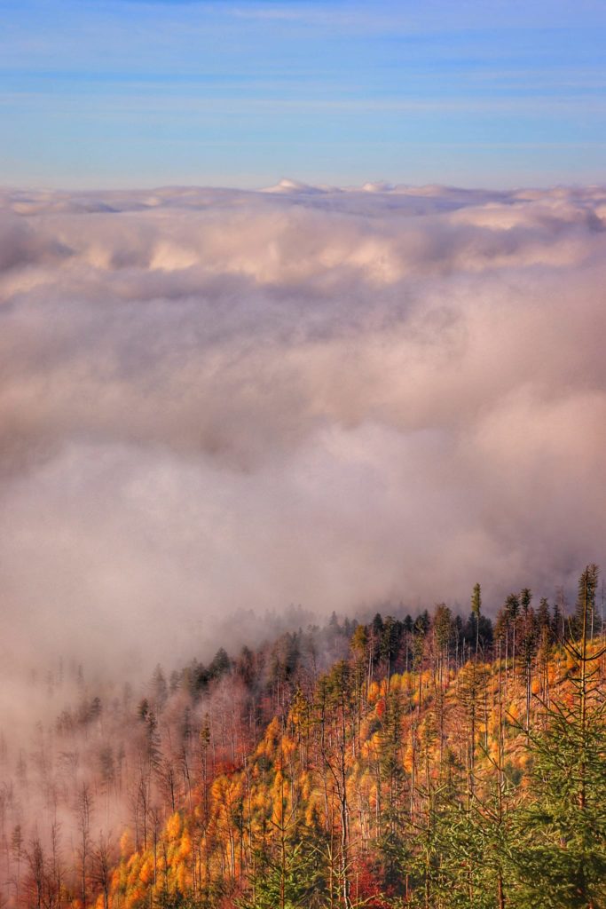 Okolice Jaskini Malinowskiej w Beskidzie Śląskim, morze chmur - inwersja w górach, jesienne drzewa
