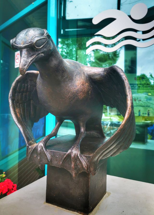 Rzeźba mewy - jedna z trzech rzeźb przedstawiająca Mariany Sportowe - Marian Pływak