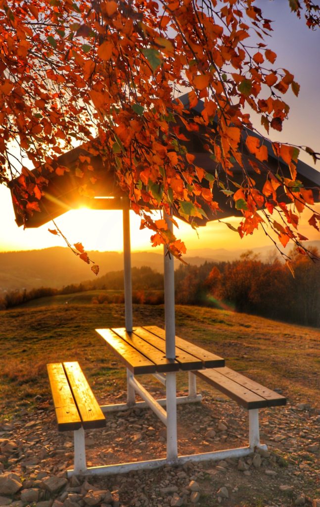 Stół, ławki, zachód słońca, jesienne drzewo, Szczyt Gruň - Słowacja