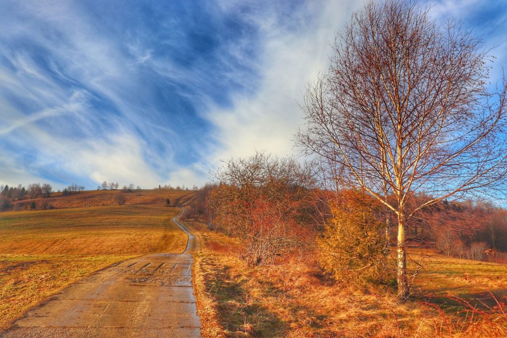 Szeroka droga na czerwonym szlaku na Kikulę - Trojak, polana, niebieskie niebo