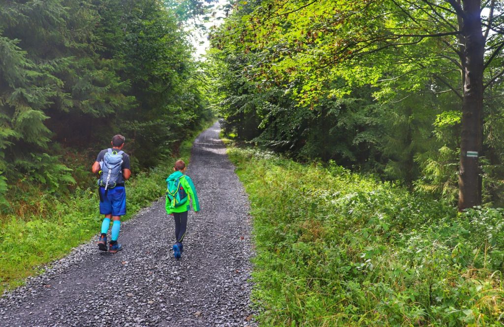 Utwardzona droga na zielonym szlaku biegnącym na Trzy Kopce Wiślańskie, las, turysta z dzieckiem