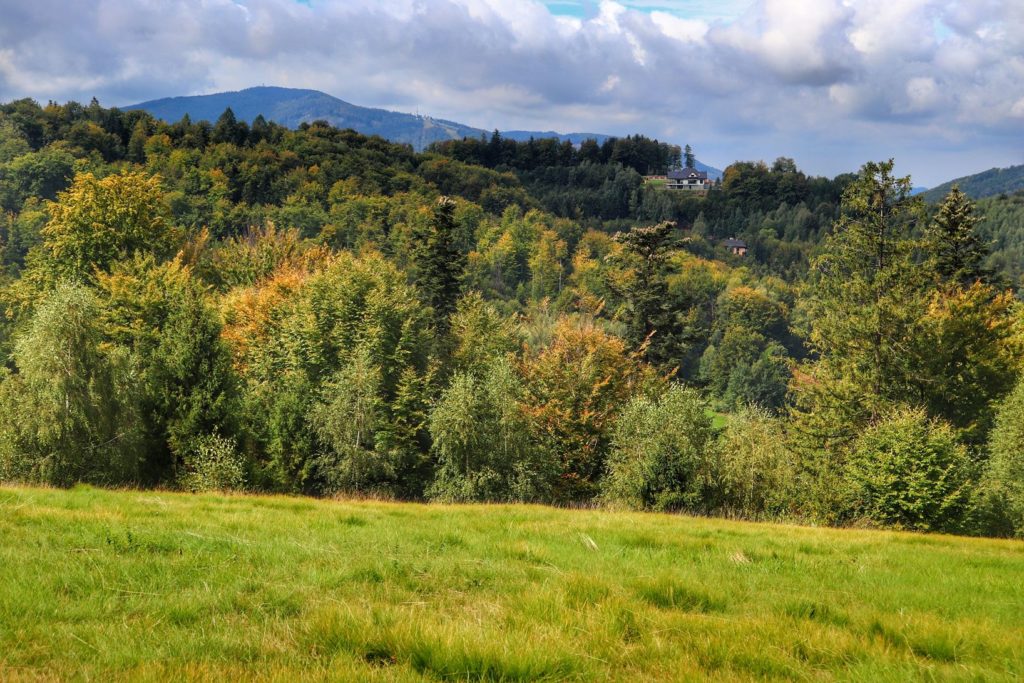 Widok na Beskidy z obszernej polany na zielonym szlaku idącym z Brennej Leśnicy