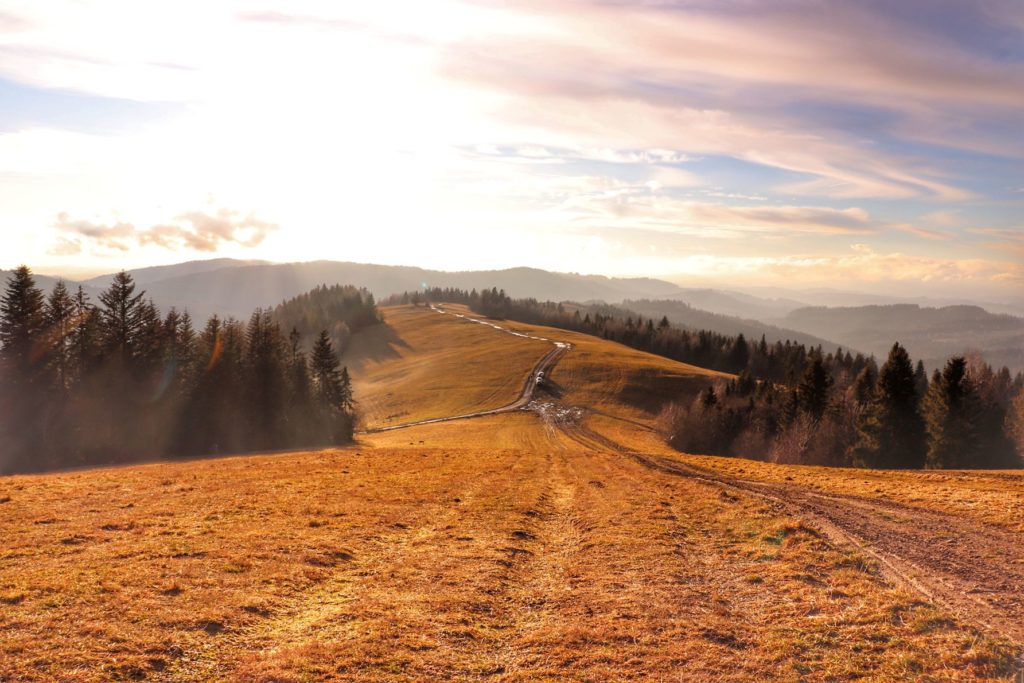 Widok rozciągający się ze szcytu Trojak - Kikula na Słowacji, późne popołudnie, polana