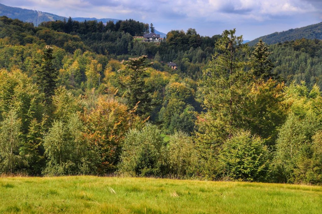 Widok z polany na zielonym szlaku idącym do schroniska na Trzech Kopcach Wiślańskich, wczesna jesień