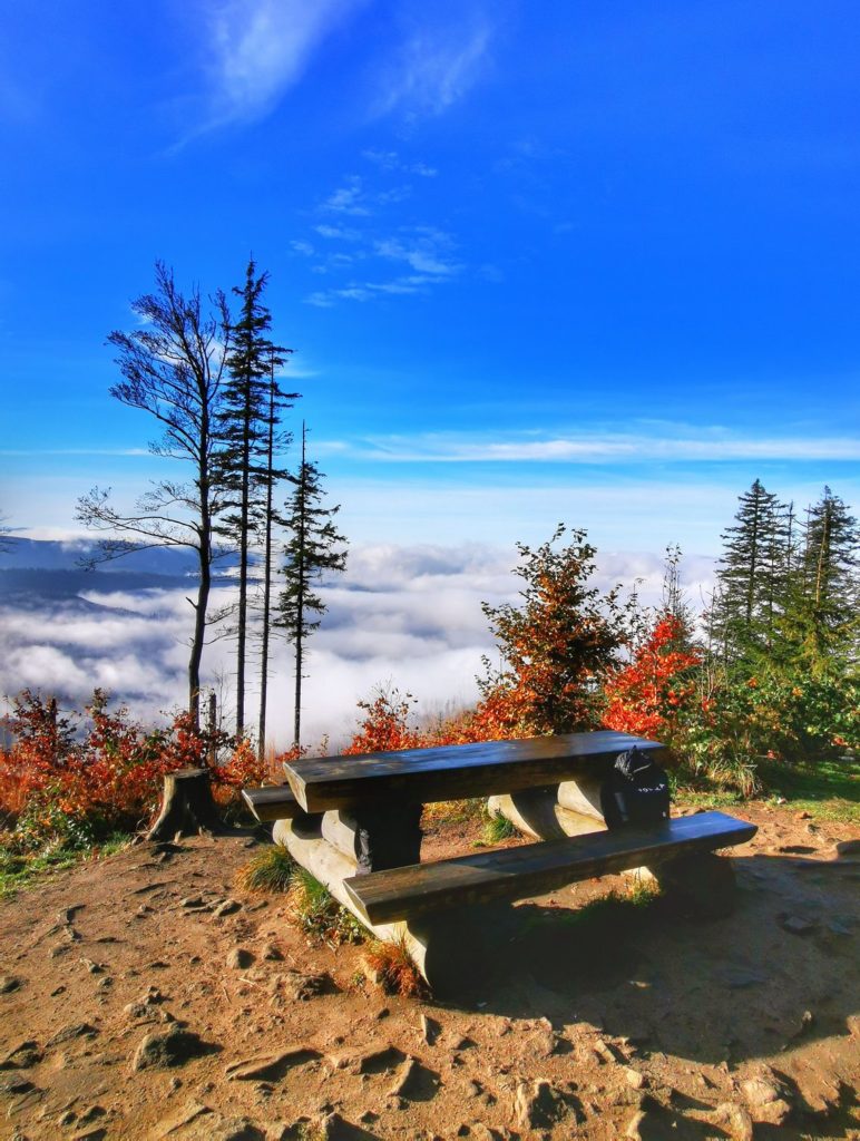 Widoki rozciągające się z okolic Jaskini Malinowskiej, drewniany stół, ławki, morze chmur, jesień