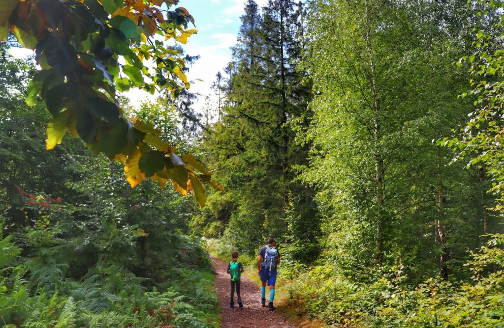 Wąska ścieżka leśna na beskidzkim szlaku, dziecko z tatą, jesienne liście