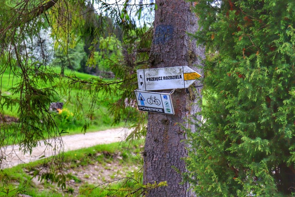 Drogowskaz na drzewie Rezerwat Biała Woda- kierunek przebiegu szlaku żółtego - Przełęcz Rozdziela