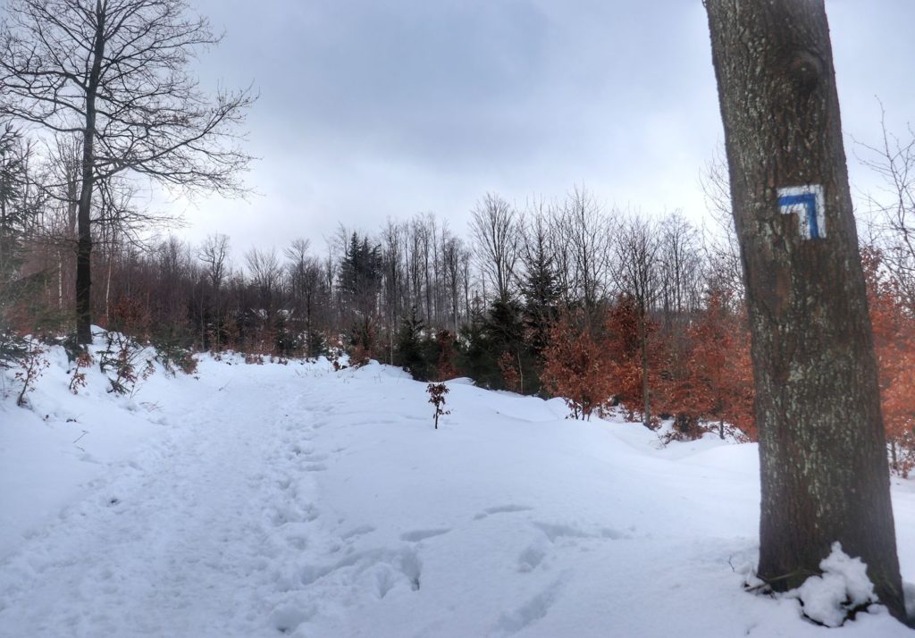 Miejsce skrętu w lewo szlaku niebieskiego na Kozią Górę - oznaczenie na drzewie, śnieg