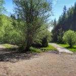 Rozwidlenie dróg na szlaku żółtym biegnącym przez Rezerwat Biała Woda