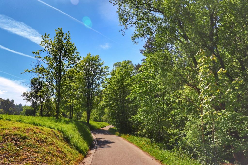 Szeroka asfaltowa droga - szlak żółty Rezerwat Biała Woda w Pieninach, błękitne niebo