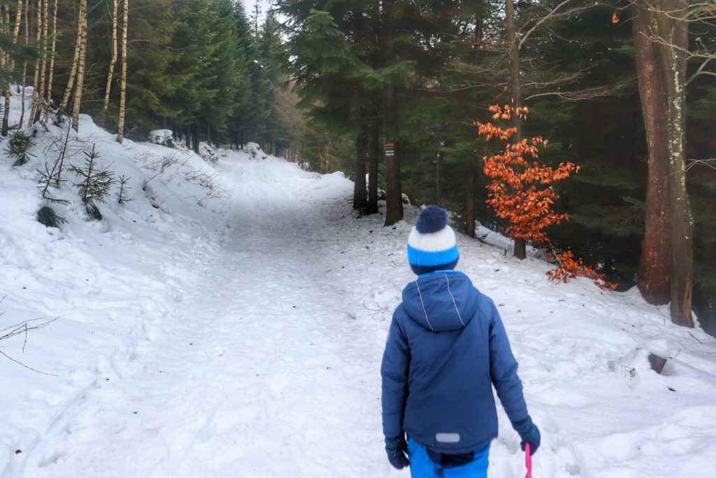 Szeroka leśna droga pokryta śniegiem, mały turysta - dziecko na niebieskim szlaku idącym na Kozią Górę
