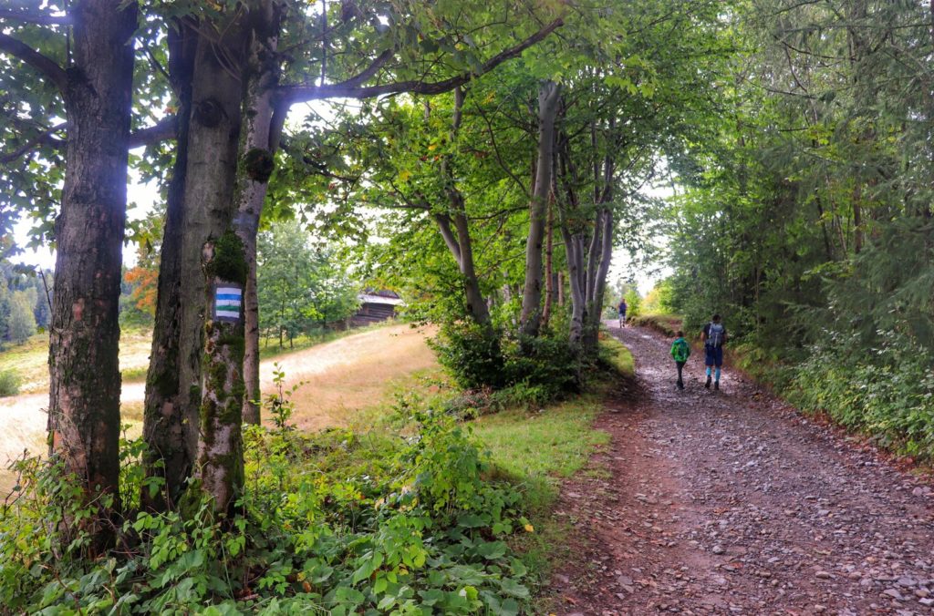 Szeroka utwardzona droga na szlaku niebieski i szlaku zielonym idącym na Trzy Kopce Wiślańskie, turyści