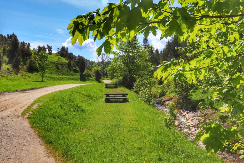 Szeroka ścieżka na żółtym szlaku prowadzącym przez Rezerwat Biała Woda, drewniane ławki po prawej drodze ścieżki, zielone liście, niebieskie niebo