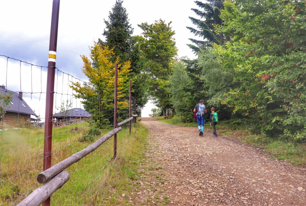 Turysta z dzieckiem na żółtym szlaku przy schronisku na Trzech Kopcach Wiślańskich, szeroka utwardzona droga