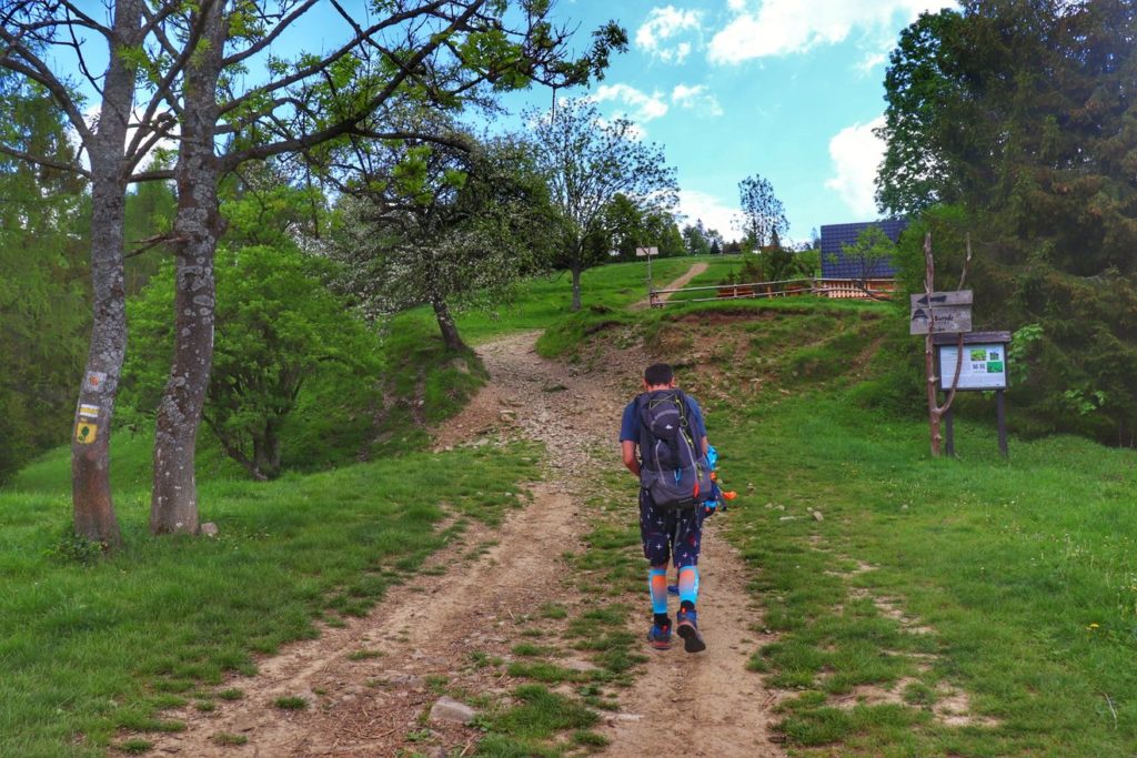 Turysta z dzieckiem - podejście na szlaku zółtym w Rezerwacie Biała Woda w kierunku Przełęczy Rozdziela