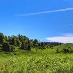 Widok na polanę rozciągający się z żółtego szlaku - Biała Woda Pieniny, niebieskie niebo, słoneczny poranek