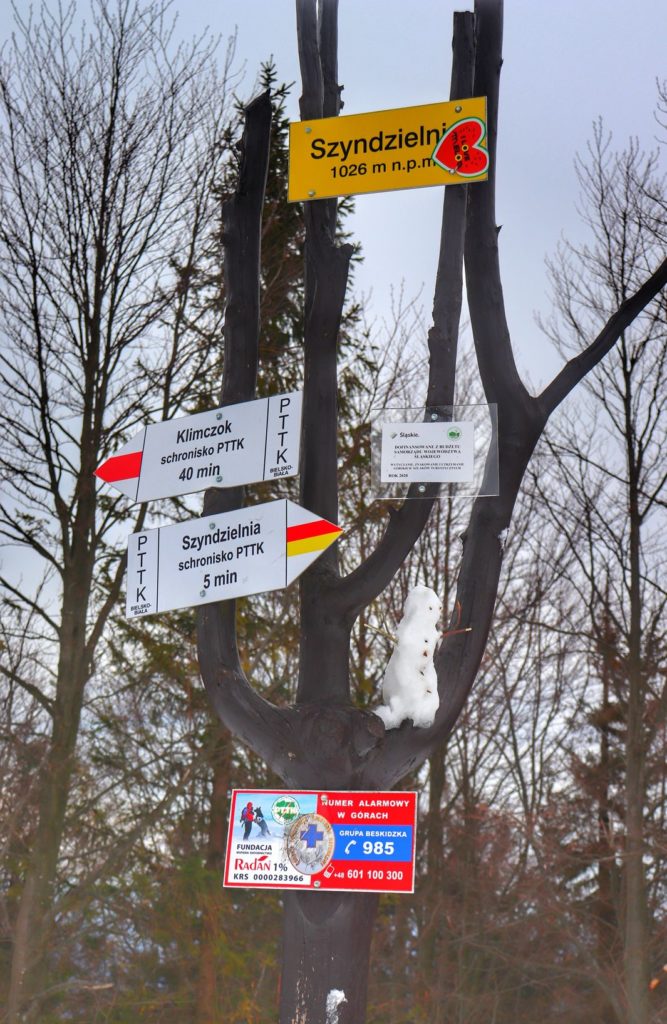 Żółta tabliczka oznaczająca szczyt SZYNDZIELNIA - 1026 M N.P.M. - drogowskazy