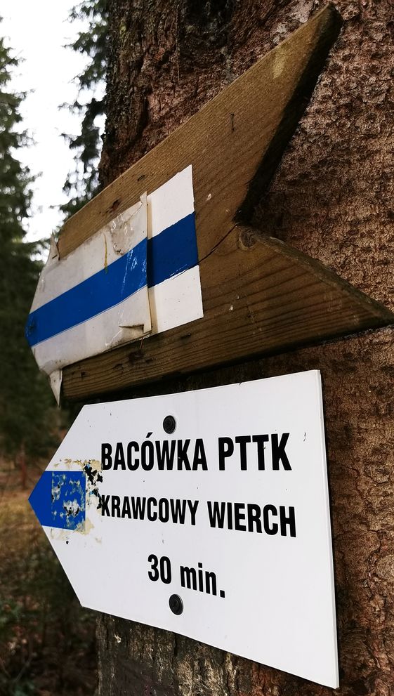 Drogowskaz, szlak niebieski - BACÓWKA PTTK Krawców Wierch 30 minut