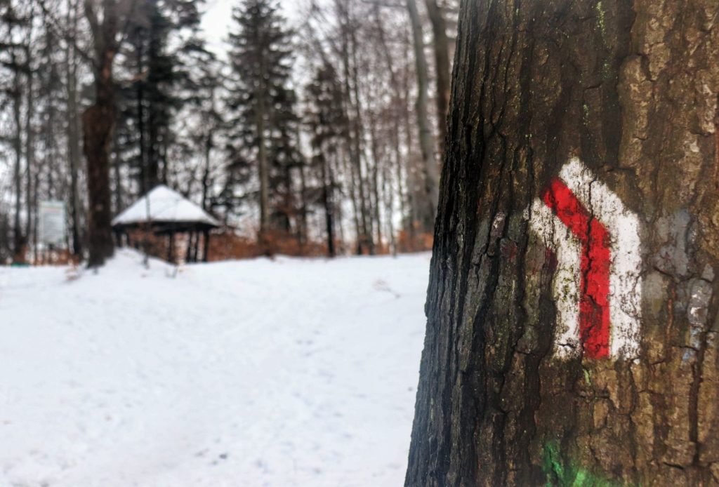 Oznaczenie na drzewie - skręt szlaku czerwonego w lewo - Równia pod Kozią w Beskidzie Śląskim, w tle drewniana wiata, zima