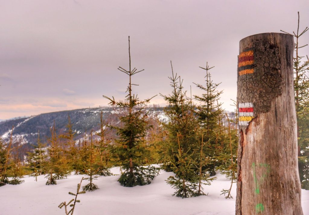 Oznaczenie szlaku żółtego oraz czerwonego - kierunek Klimczok, śnieg