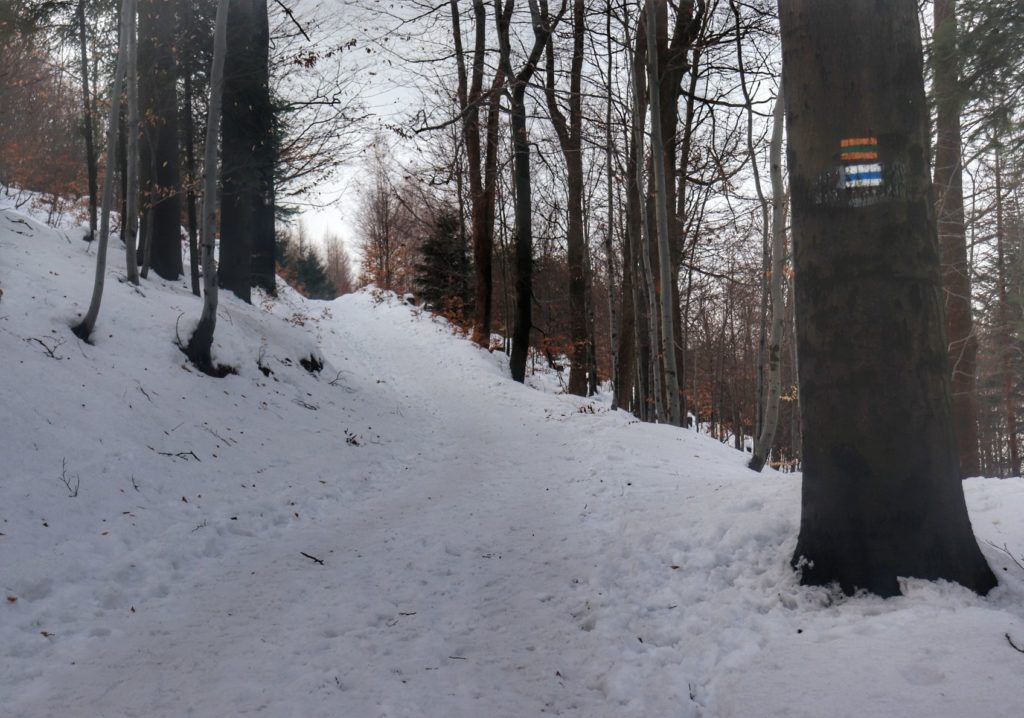 Podejście na niebieskim szlaku idącym na Kozią Górę - śnieg, las