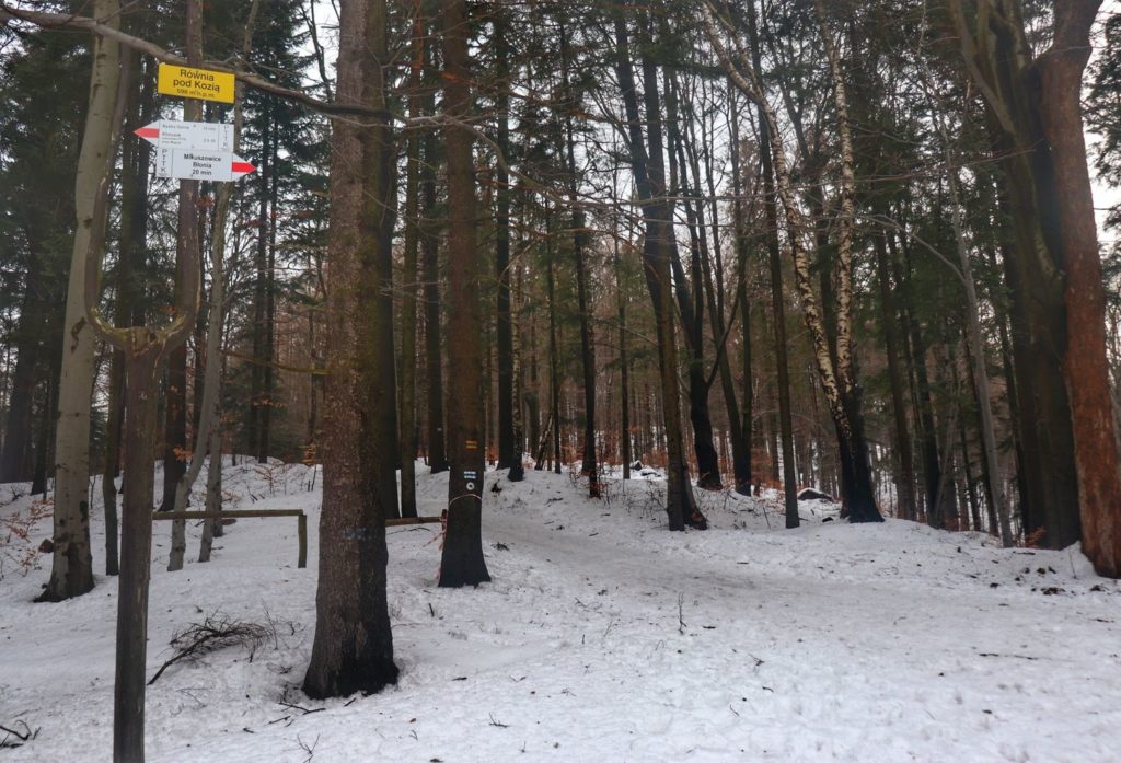 Równia pod Kozią w Beskidzie Śląskim - zima