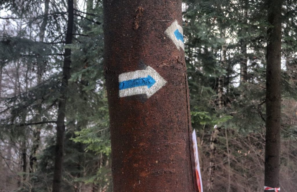 Strzałka na drzewie oznaczająca kierunek przebiegu szlaku niebieskiego na Kozią Górę