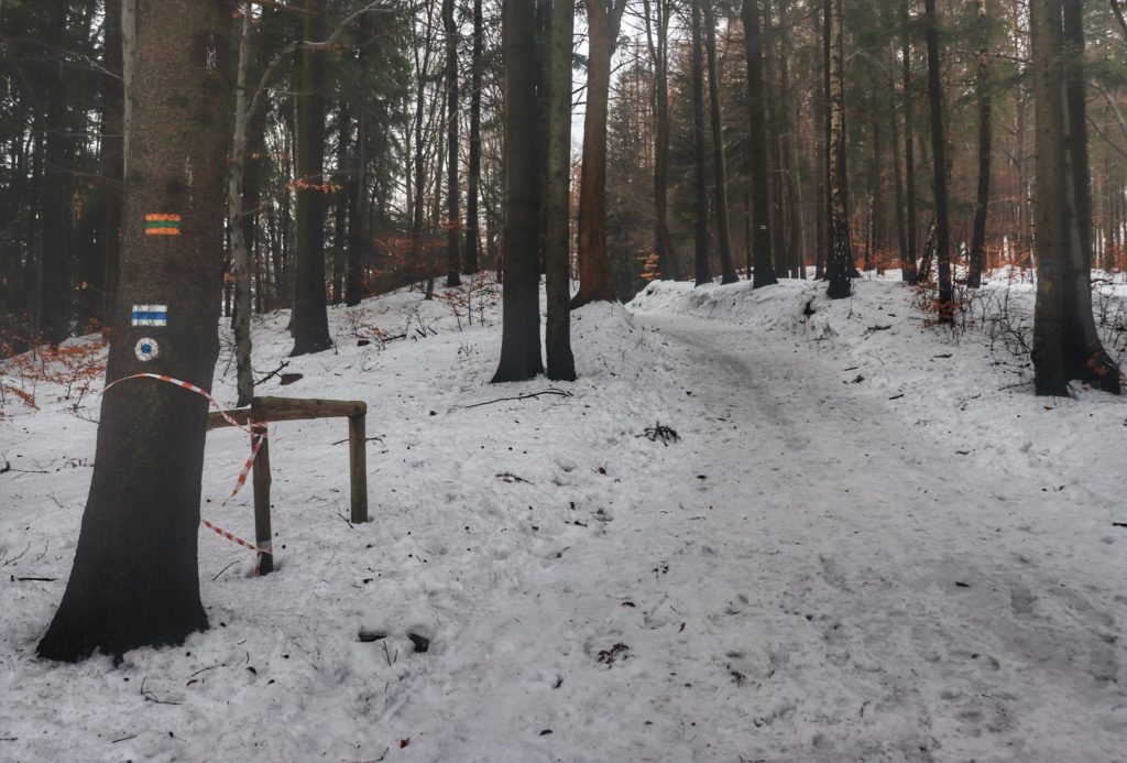 Szeroka droga leśna na niebieskim szlaku - Równia pod Kozią