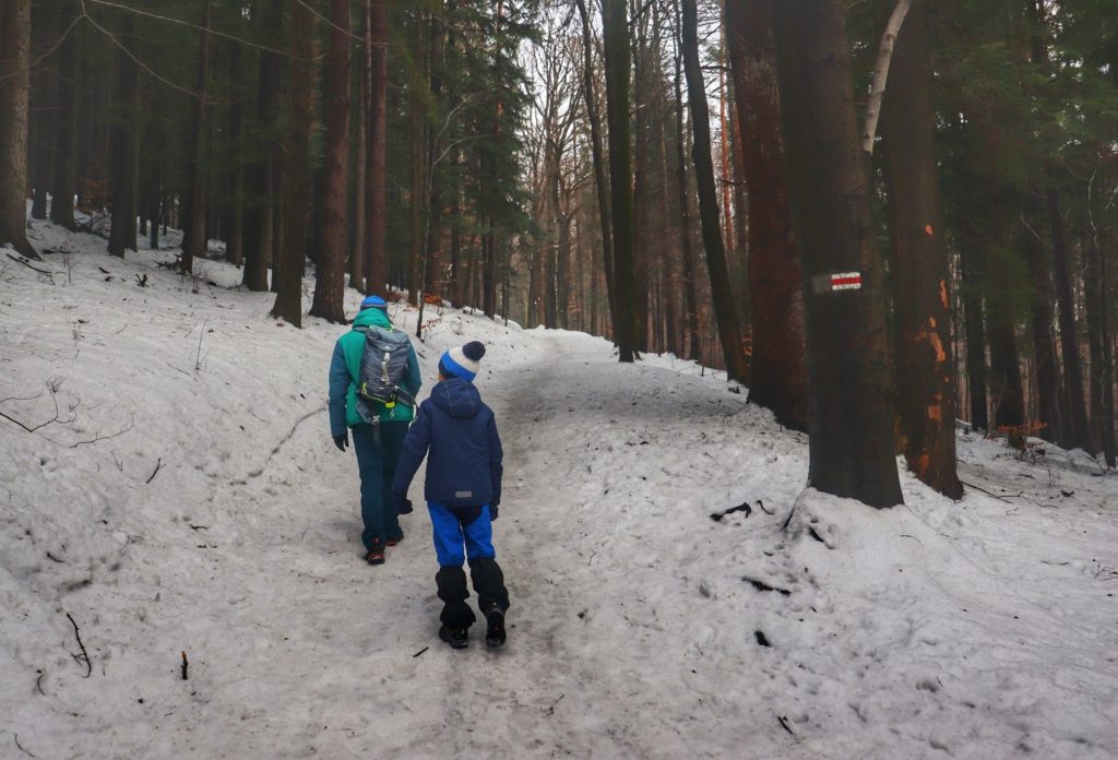Turysta z dzieckiem na czerwonym szlaku idącym do Równie pod Kozią w Beskidzie Śląskim, las, śnieg
