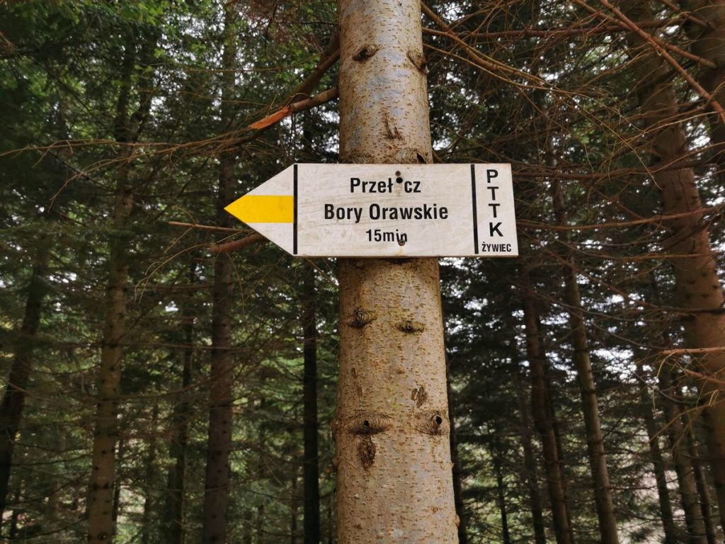 Drogowskaz, Przełęcz Bory Orawskie 15 minut