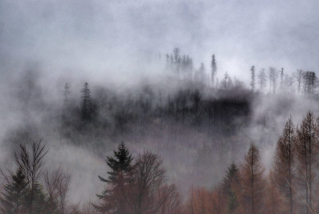Drzewa, chmury, Beskid Śląski