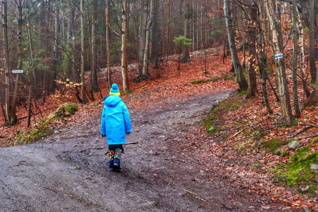 Dziecko skręcające z szerokiej drogi leśnej w prawo - szlak niebieski na Soszów