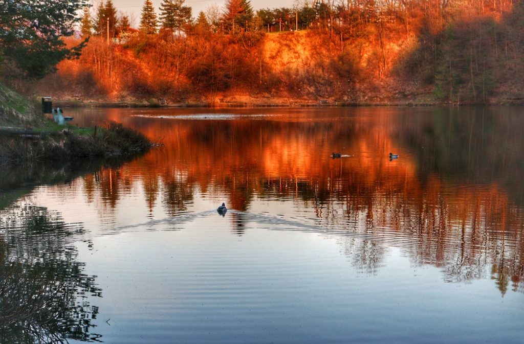 Jezioro Ton oświetlone przez zachodzące słońce, kaczki krzyżówki