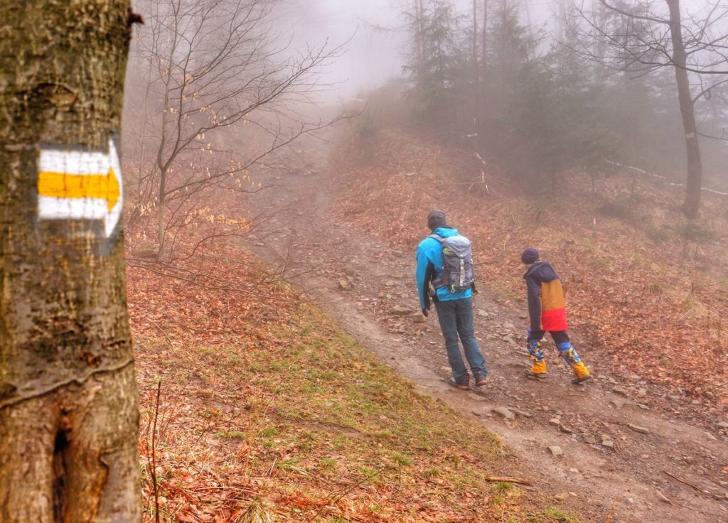Miejsce skrętu szlaku żółtego na Małą Czantorię w prawo - oznaczenie na drzewie - turysta z dzieckiem, leśna droga