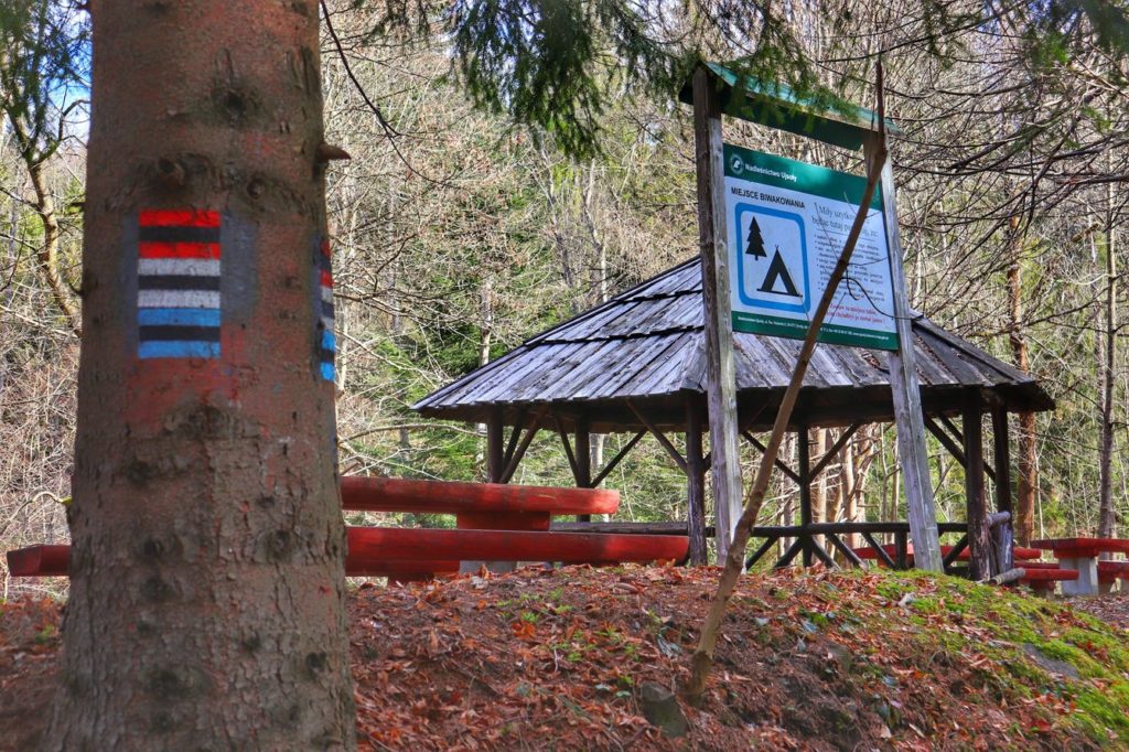 Oznaczenie na drzewie szlaku czerwonego, szlaku niebieskiego i szlaku czarnego, miejsce biwakowe - Złatna Huta