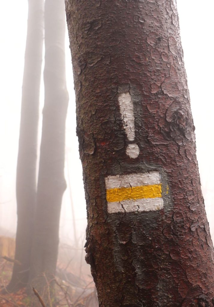 Oznaczenie na drzewie (wykrzyknik) zmiany kierunku szlaku żółtego na Małą Czantorię