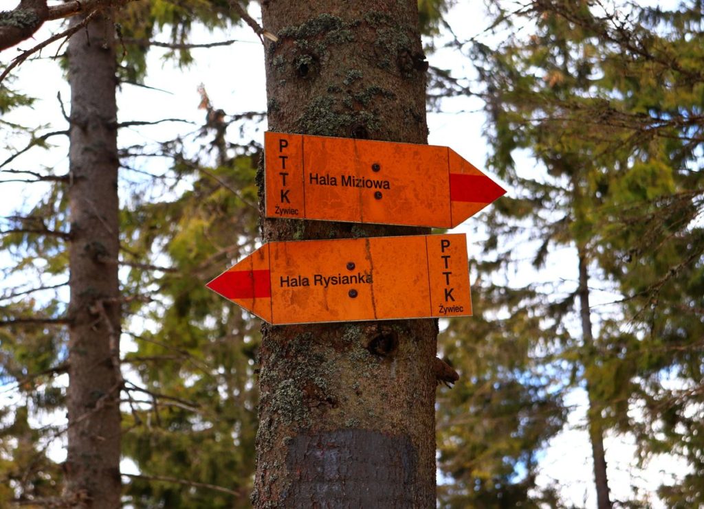 Pomarańczowe tabliczki - drogowskazy na Trzech Kopcach w Beskidzie Żywieckim wskazujące kierunek szlaku czerwonego na Halę Miziową oraz Halę Rysianka