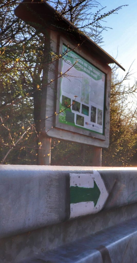 Strzałka - kierunek przebiegu szlaku zielonego w Goleszowie