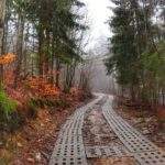 Szeroka leśna droga, betonowe płyty, szlak niebieski na Soszów Wielki