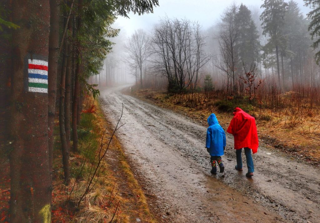Szeroka ścieżka biegnąca od Schroniska Soszów, turysta z dzieckiem, mgła, szlak niebieski na Soszów Wielki