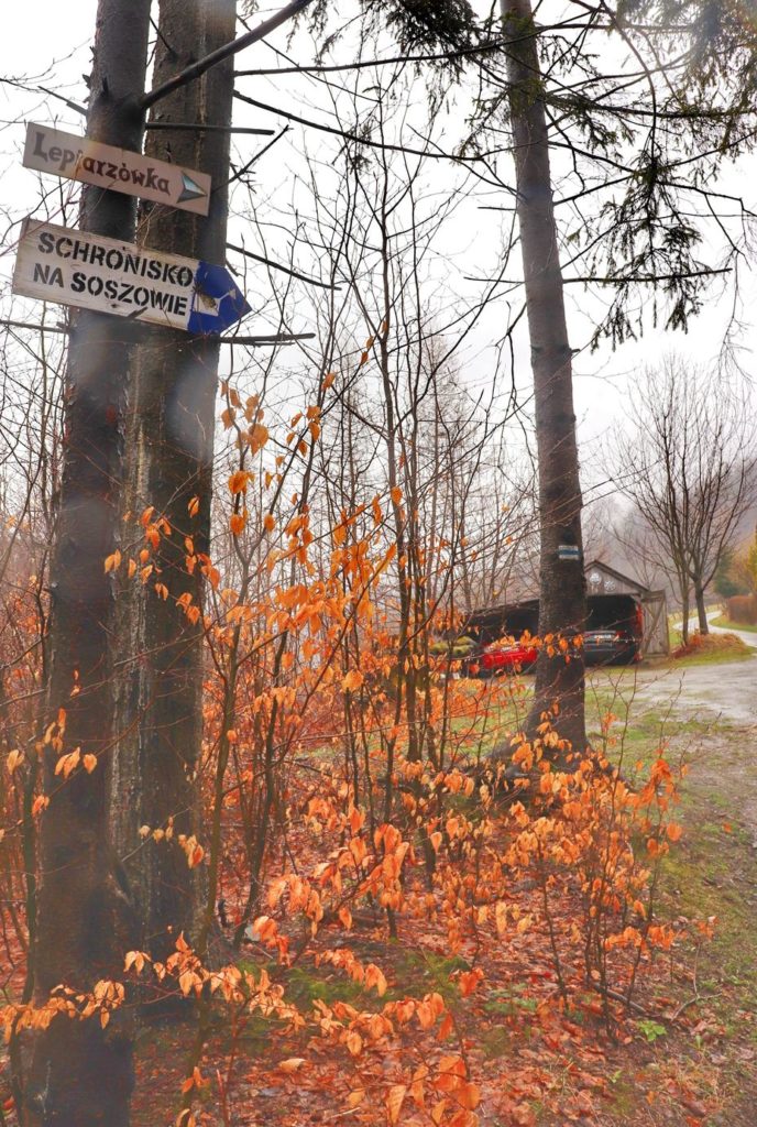 Tabliczka wisząca na drzewie wskazująca kierunek do Schroniska na Soszowie, niebieski szlak