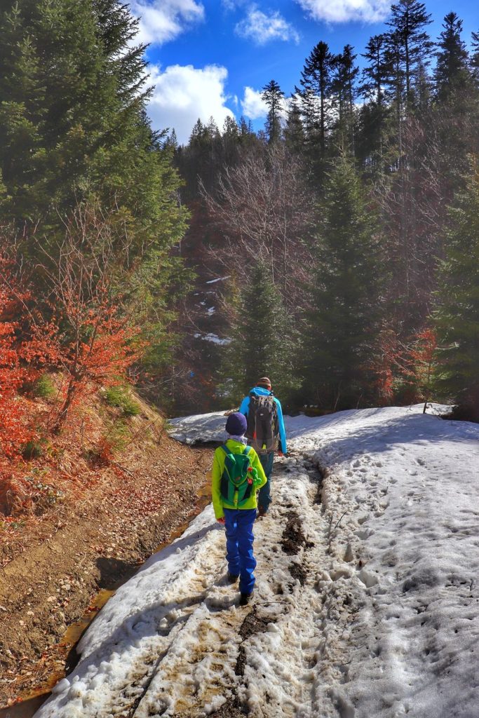 Turyści - dziecko i mężczyzna, szeroka lekko zaśnieżona droga leśna, wiosenny poranek